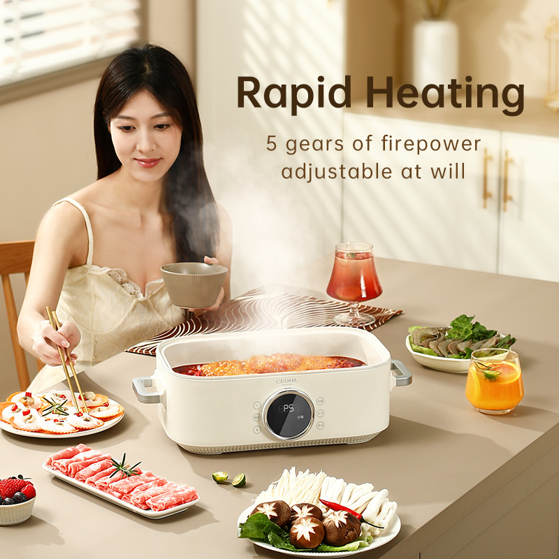 10L 3-in-1 Electric Food Steam - Home Cooking Restaurant recension och pris